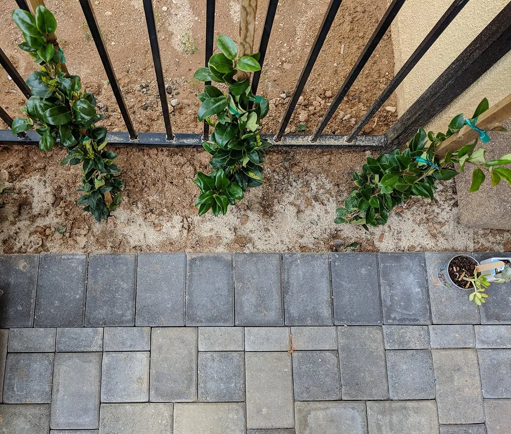 Local landscape design for year-round maintenance in Van Nuys, CA by MSC Landscape Services