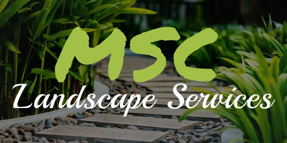 Reliable lawn care service in Van Nuys, CA by MSC Landscape Services