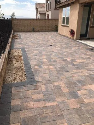 Local yard maintenance for year-round maintenance across Van Nuys, CA - MSC Landscape Services