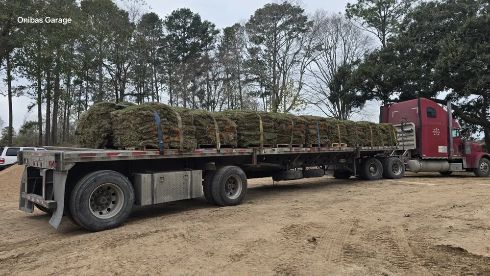 Trusted garden landscaping for outdoor upgrades in Onalaska, TX by Msc Landscaping & Grass Company