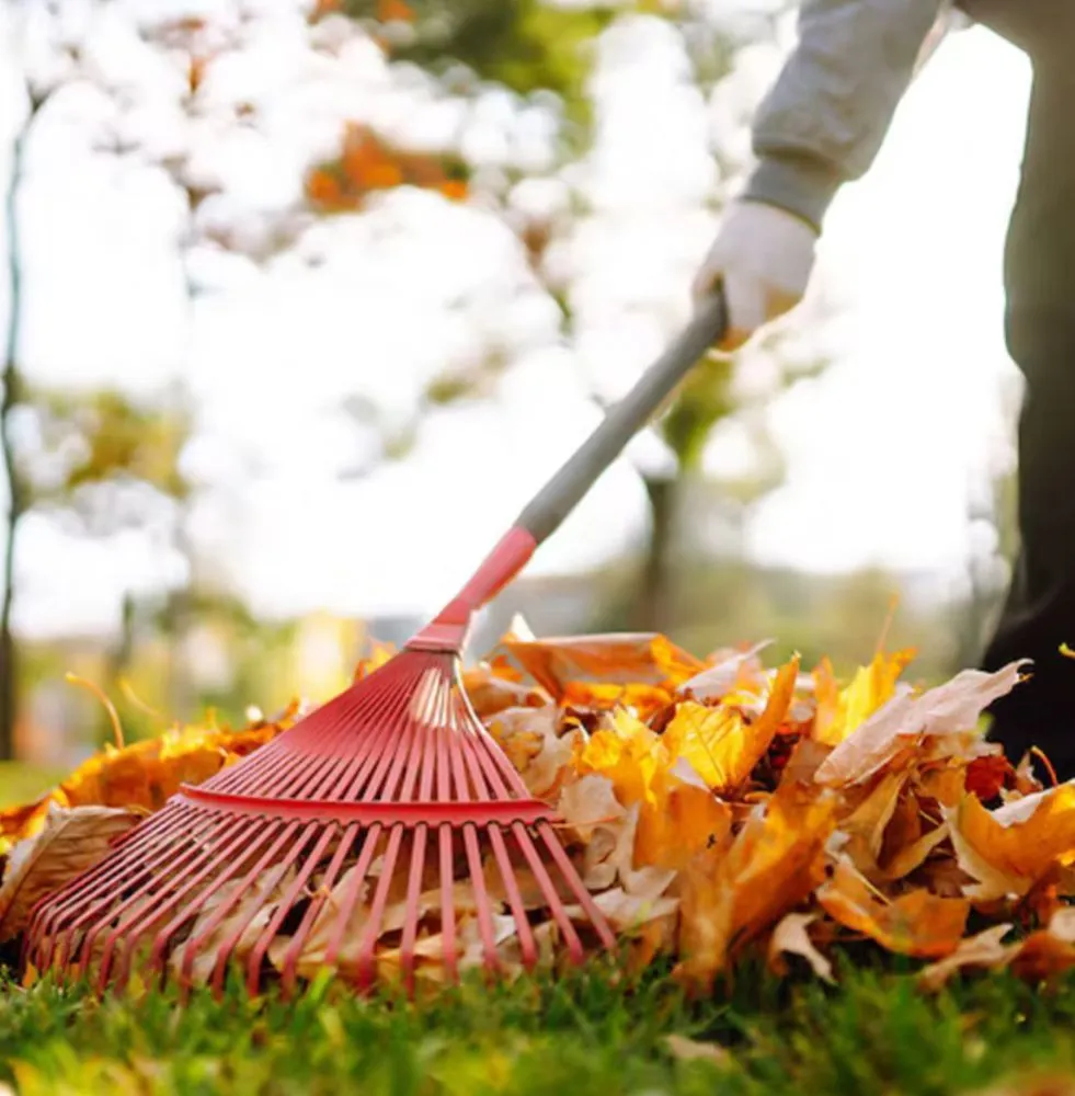 Top-rated residential landscaping for outdoor upgrades across Brighton, MI - MSCA Versatile Services