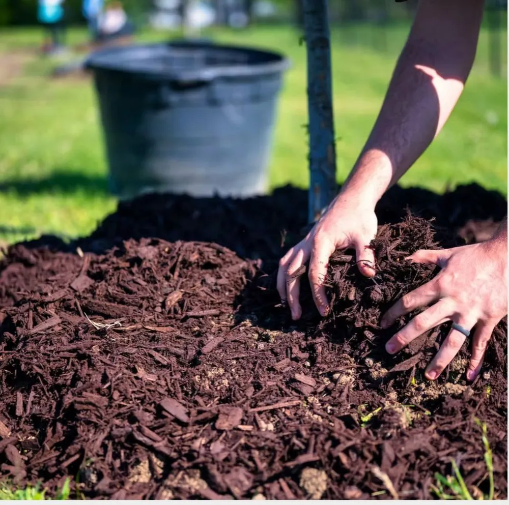 Professional outdoor landscaping experts serving Brighton, MI - MSCA Versatile Services