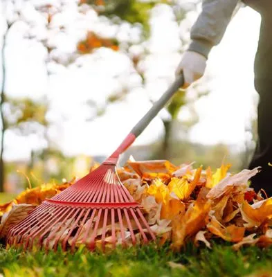 MSCA Versatile Services Logo