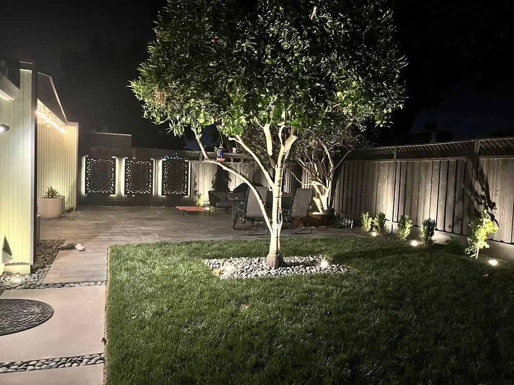 Professional yard cleanup service for residential properties in San Jose, CA by Mscape Design