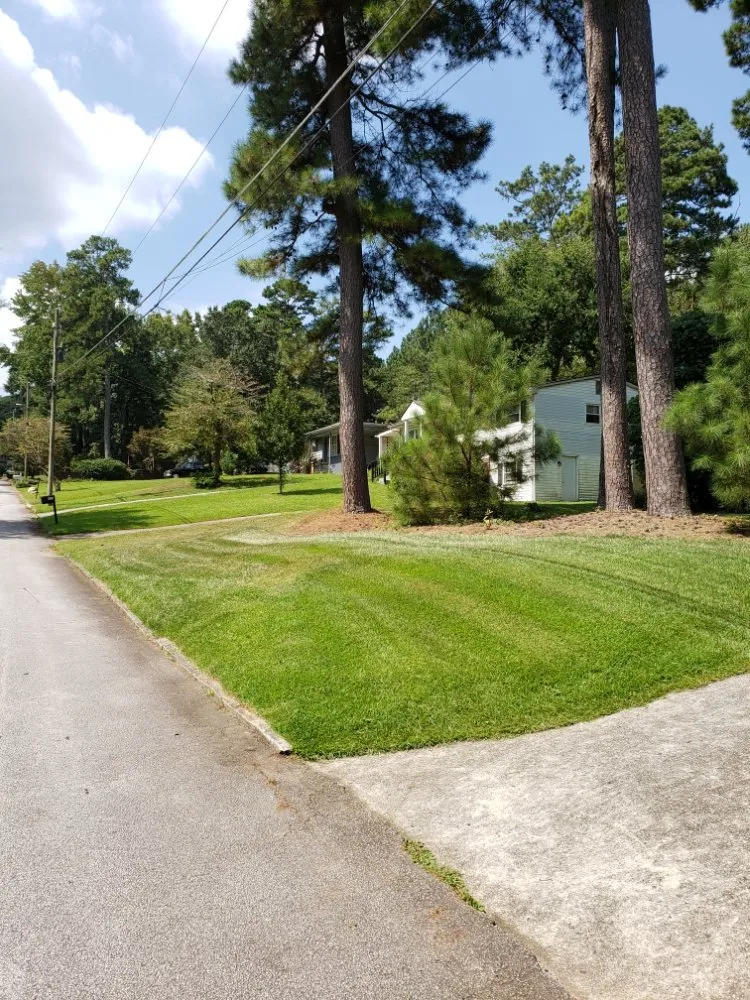 Custom outdoor landscaping for year-round maintenance in Atlanta, GA by Mscs Services