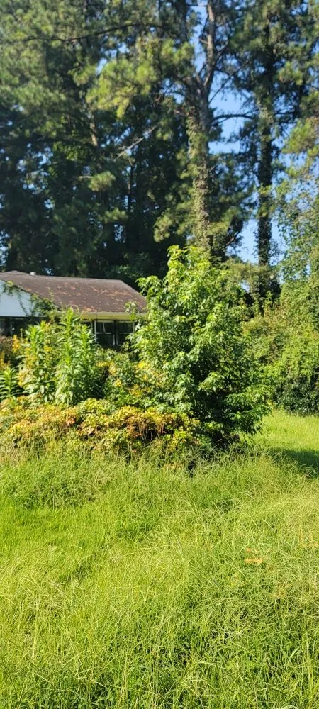 Trusted outdoor landscaping experts serving Atlanta, GA - Mscs Services