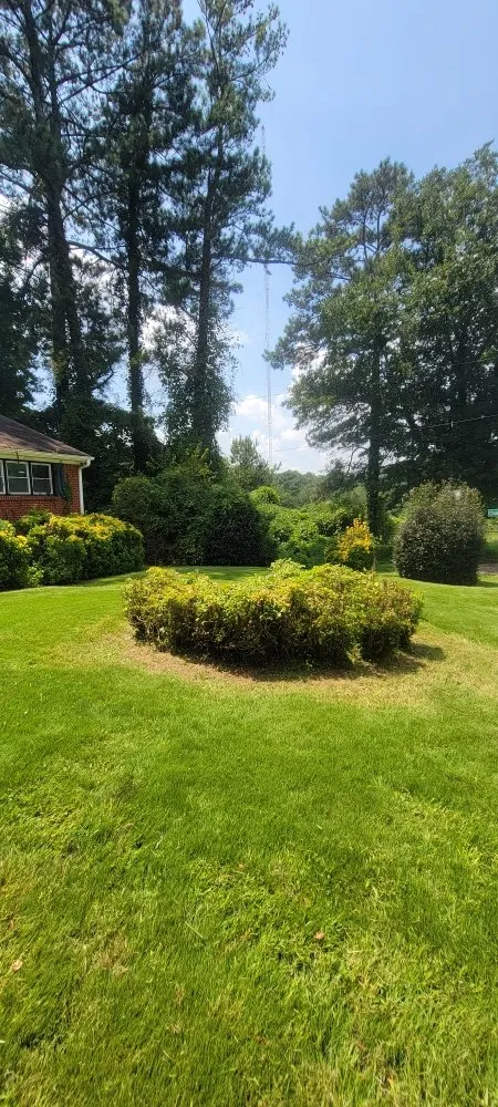 Professional yard cleanup service for year-round maintenance in Atlanta, GA by Mscs Services