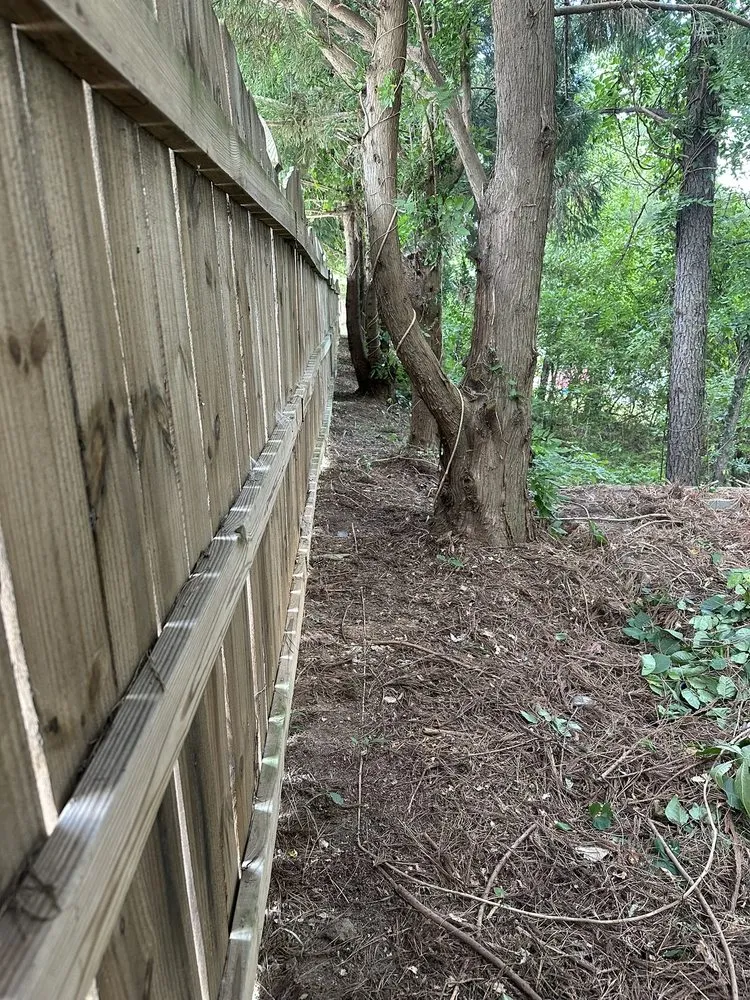 Trusted residential landscaping in Jonesboro, GA - MSD Construction & Landscaping Plus