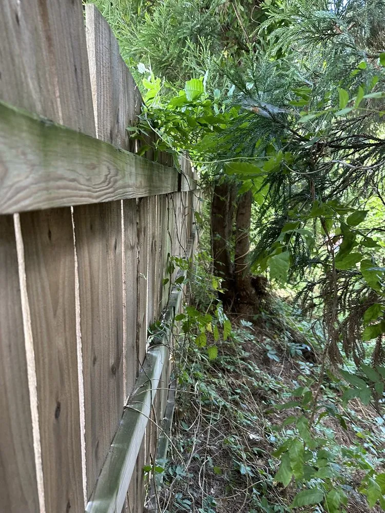 Professional yard cleanup service in Jonesboro, GA - MSD Construction & Landscaping Plus