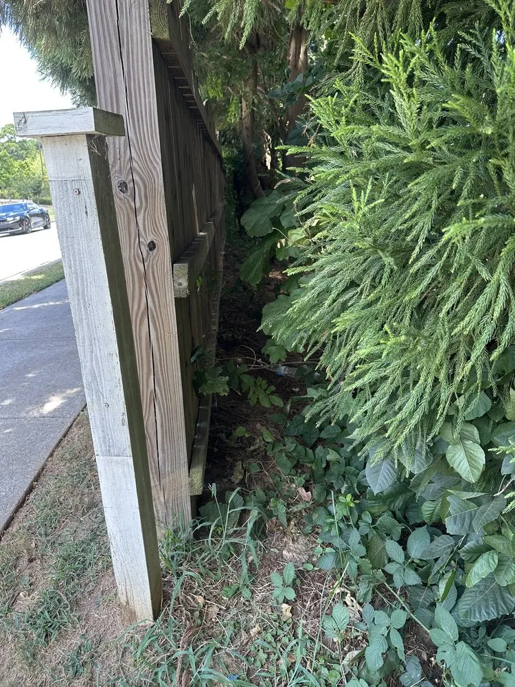 Top-rated garden landscaping near you across Jonesboro, GA - MSD Construction & Landscaping Plus