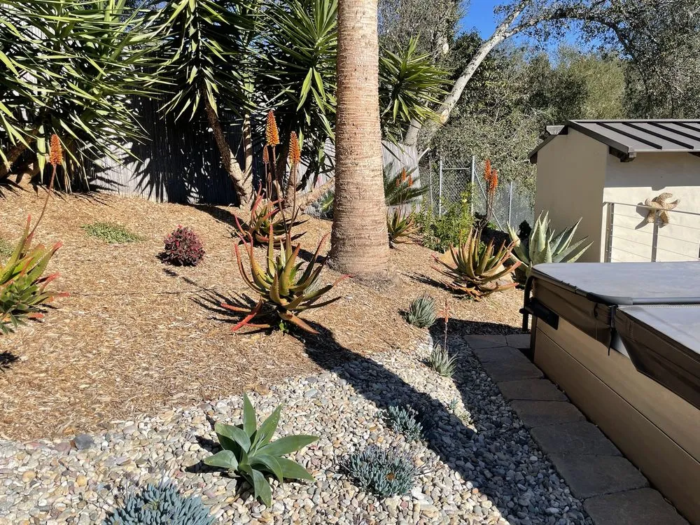Top-rated landscape installation in Escondido, CA - MSE Landscape Professionals