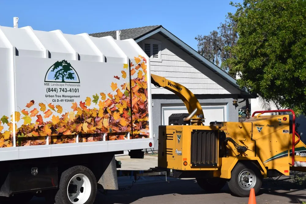 Expert yard maintenance in Escondido, CA - MSE Landscape Professionals