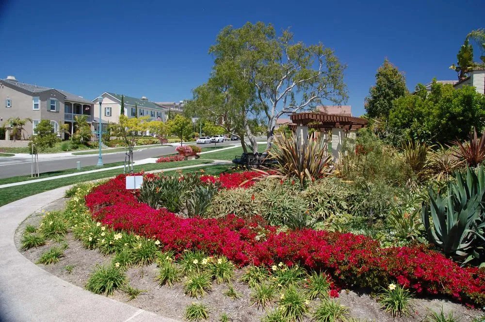Professional garden landscaping experts serving Escondido, CA - MSE Landscape Professionals