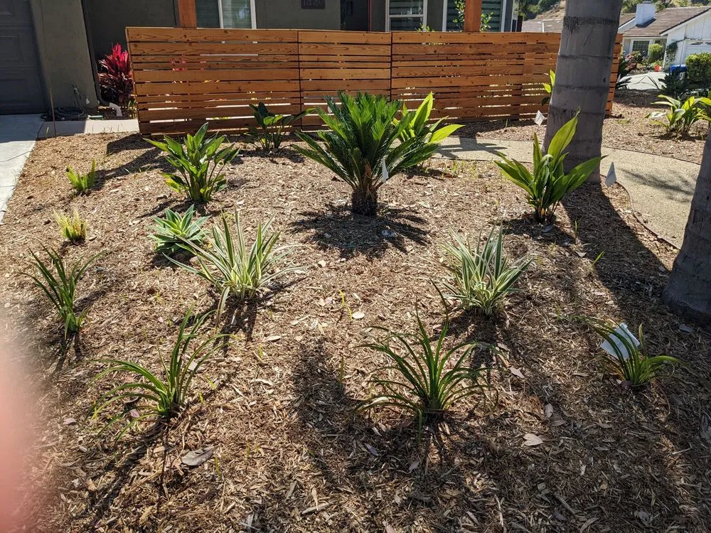 Affordable landscape installation for homes in Escondido, CA by MSE Landscape Professionals