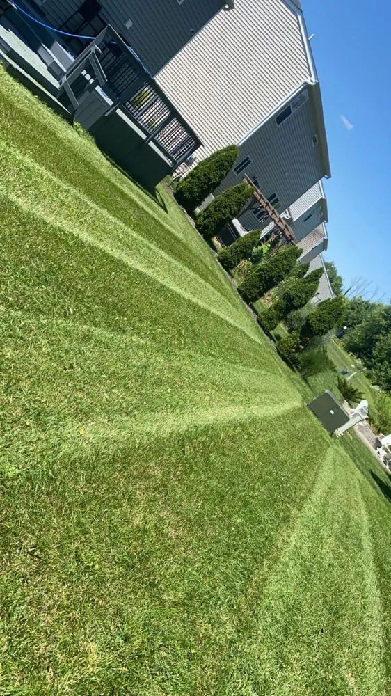 Top-rated residential landscaping in Columbus, OH - MSG Landscaping