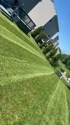 MSG Landscaping Logo