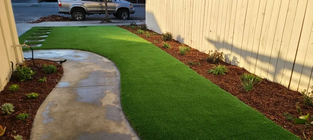 Top-rated yard maintenance in San Jose, CA - MsGardening