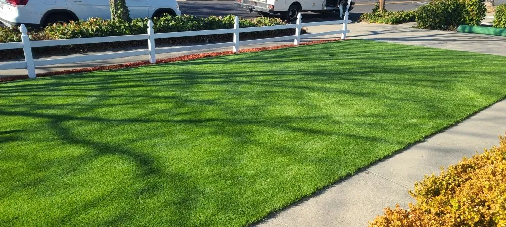 Expert garden landscaping in San Jose, CA by MsGardening