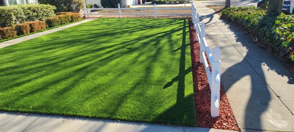 Local lawn care service in San Jose, CA by MsGardening