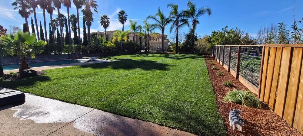 Expert residential landscaping in San Jose, CA - MsGardening