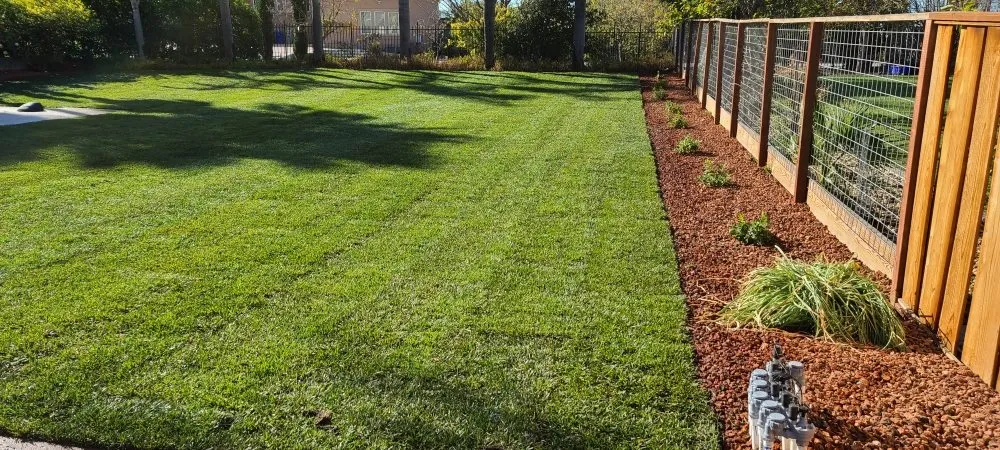 Trusted landscape installation for year-round maintenance in San Jose, CA by MsGardening