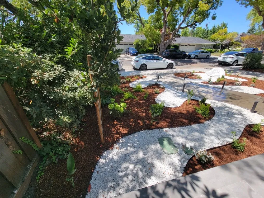 Expert lawn mowing service near you across San Jose, CA - MsGardening