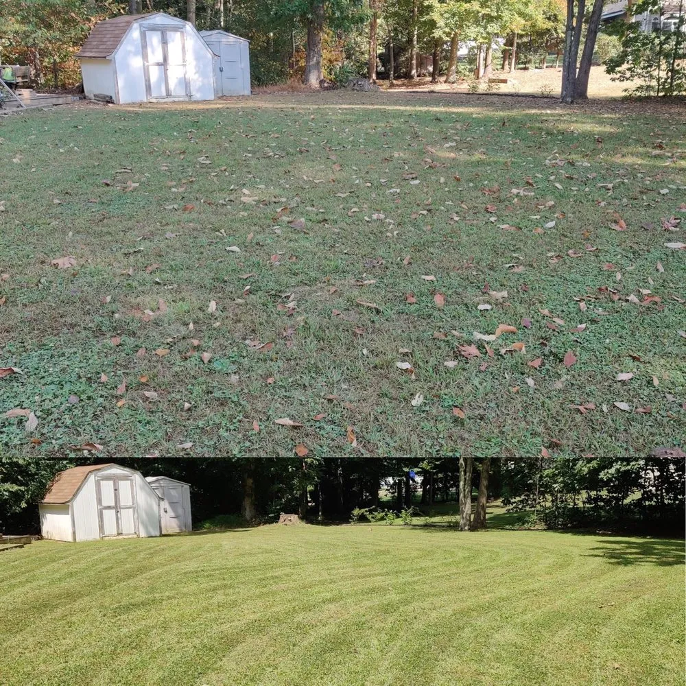 Trusted landscape installation for year-round maintenance in Clifton, NJ by M.S.J Lawn Care