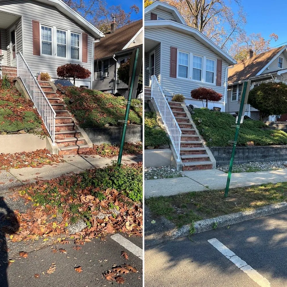 Reliable lawn care service in Clifton, NJ - M.S.J Lawn Care