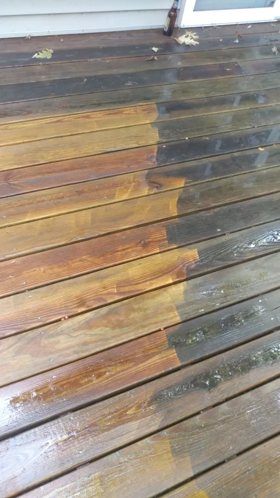 Expert yard cleanup service for residential properties across Clifton, NJ - M.S.J Lawn Care