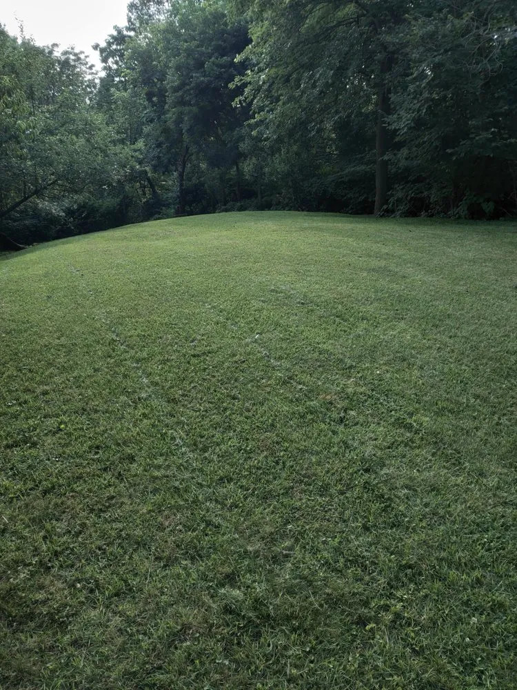 Affordable lawn mowing service in Clifton, NJ - M.S.J Lawn Care