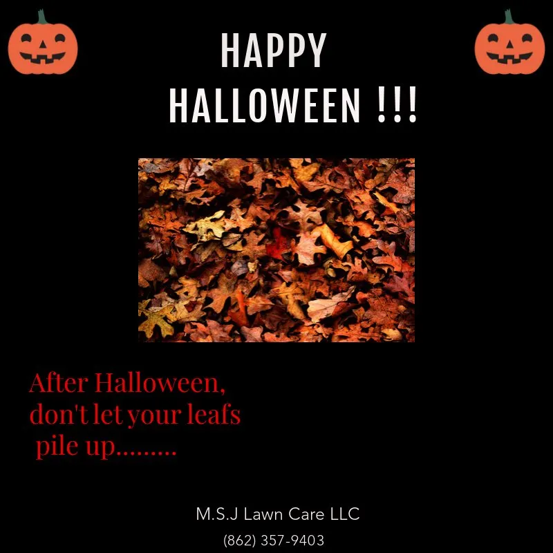 Local outdoor landscaping in Clifton, NJ by M.S.J Lawn Care