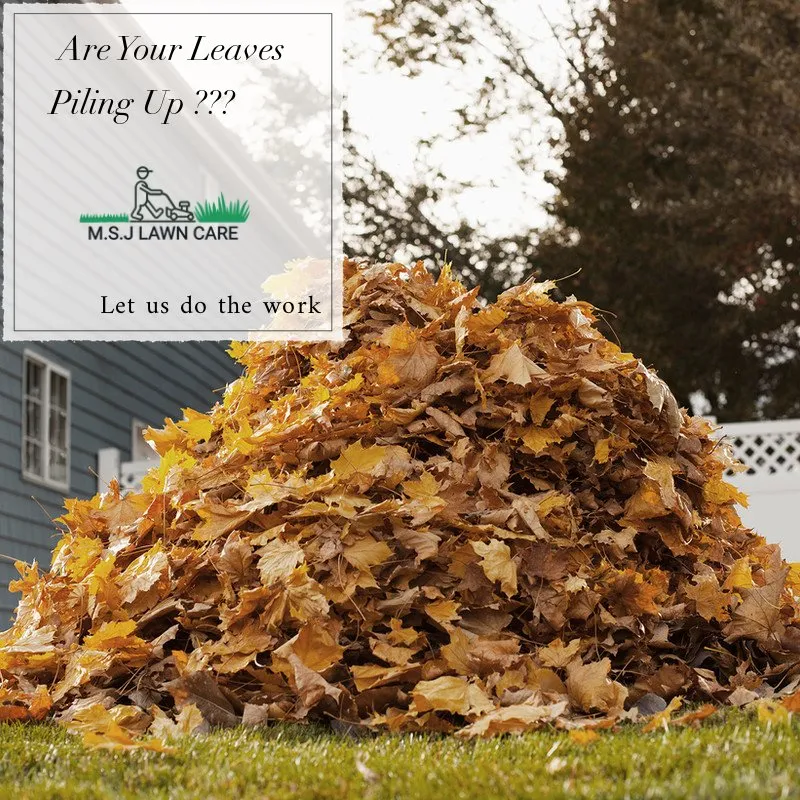 Reliable lawn mowing service near you in Clifton, NJ by M.S.J Lawn Care