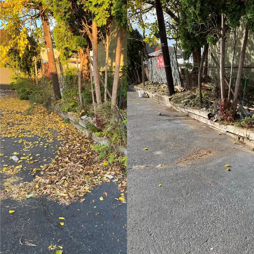 Reliable yard cleanup service for homes in Clifton, NJ by M.S.J Lawn Care