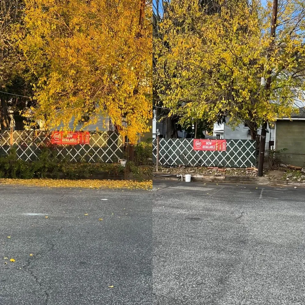 Top-rated residential landscaping near you in Clifton, NJ by M.S.J Lawn Care