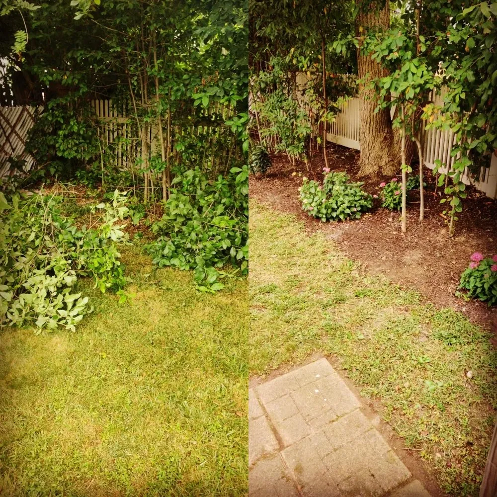 Reliable yard cleanup service for residential properties across Clifton, NJ - M.S.J Lawn Care