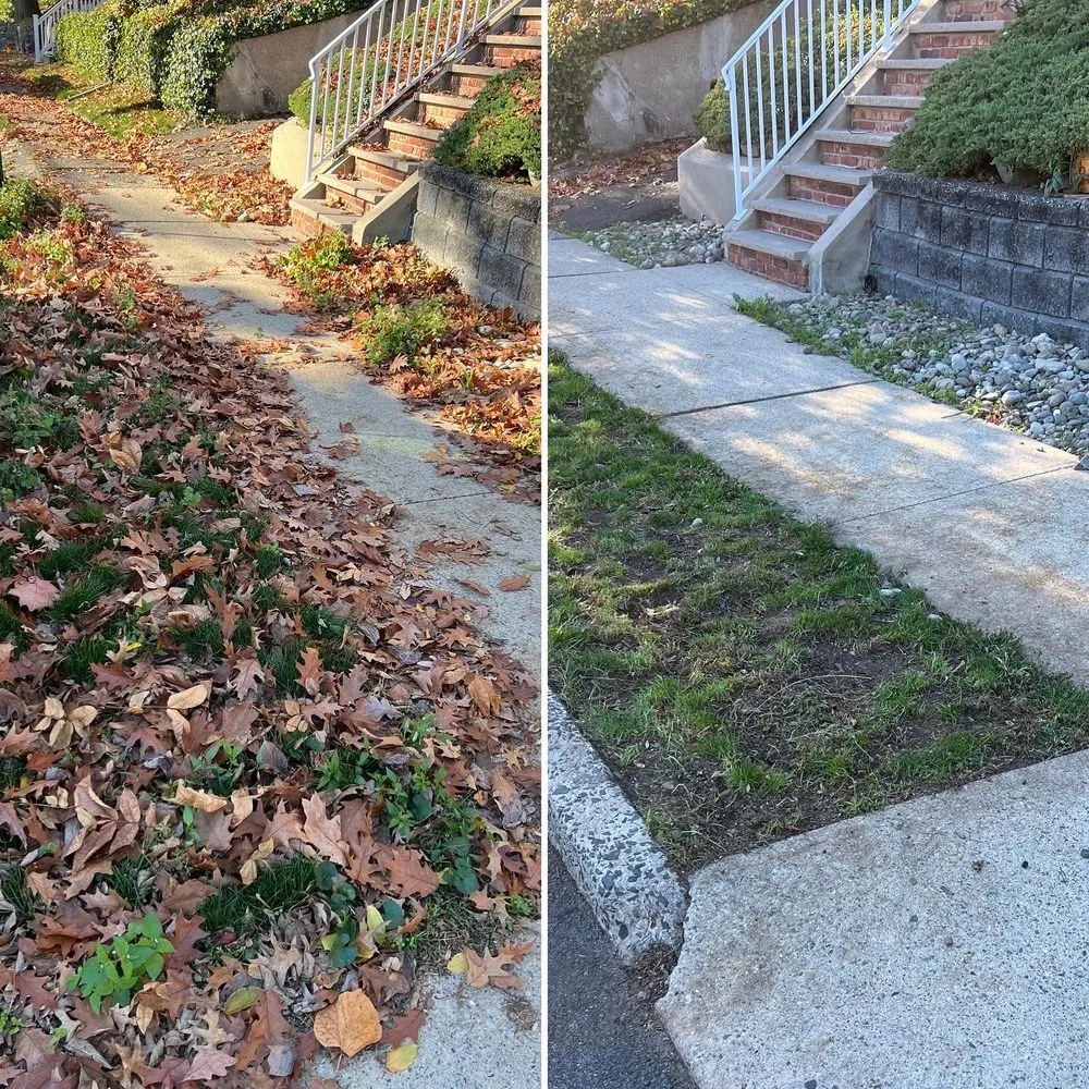 Local landscape installation for year-round maintenance across Clifton, NJ - M.S.J Lawn Care