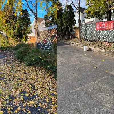 M.S.J Lawn Care Logo