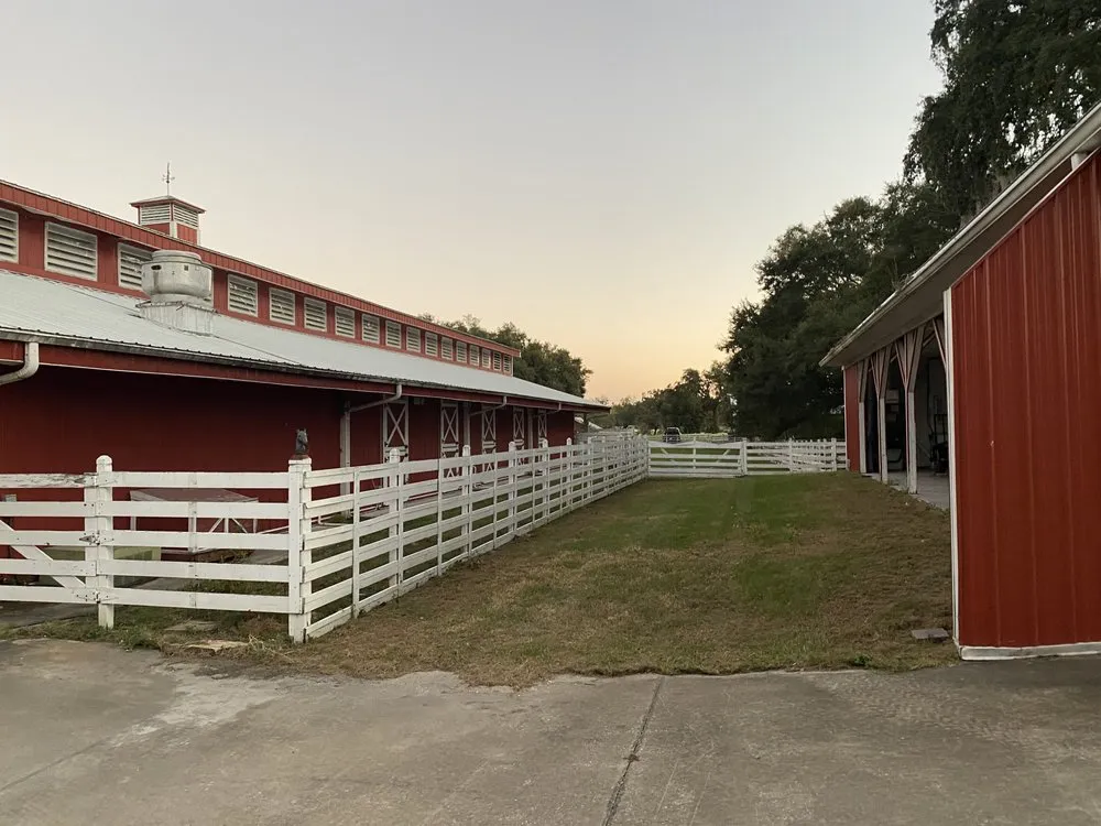 Top-rated lawn mowing service experts serving O'Brien, FL - Msk Timber