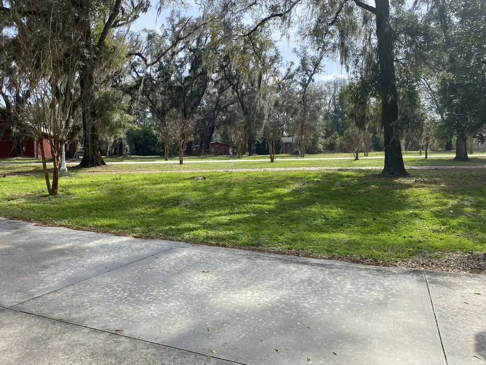 Top-rated landscape design in O'Brien, FL - Msk Timber