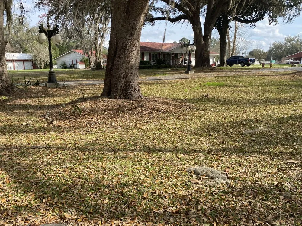 Top-rated yard maintenance for residential properties across O'Brien, FL - Msk Timber
