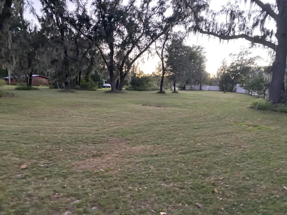 Local garden landscaping for homes across O'Brien, FL - Msk Timber