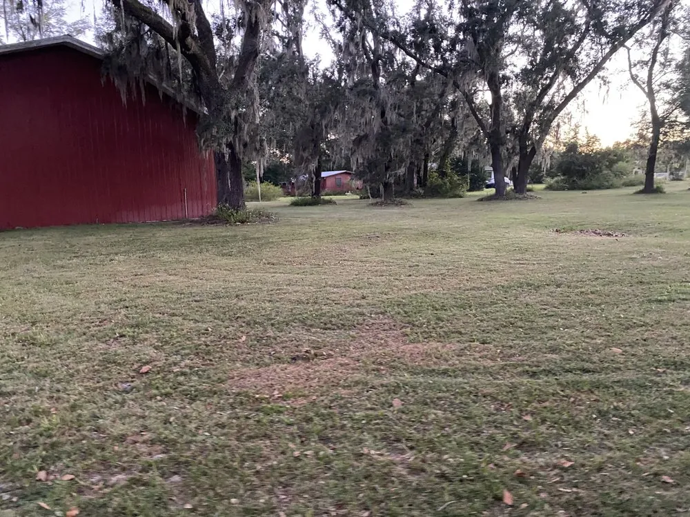 Custom residential landscaping in O'Brien, FL by Msk Timber