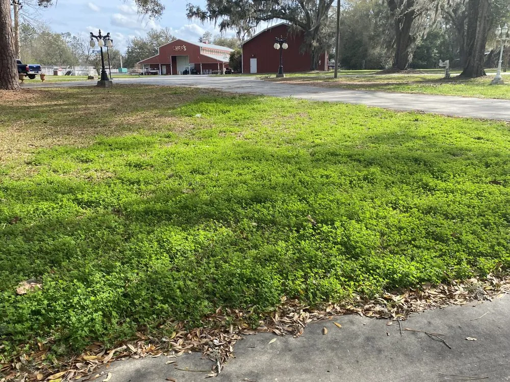 Reliable landscaping services in O'Brien, FL by Msk Timber