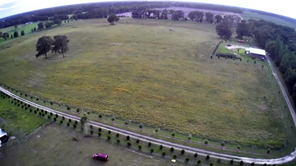 Custom lawn care service near you in O'Brien, FL by Msk Timber