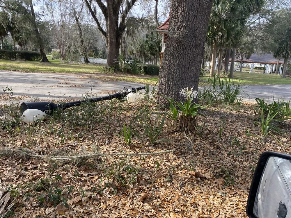 Trusted lawn mowing service in O'Brien, FL - Msk Timber