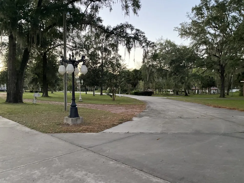 Reliable landscaping services in O'Brien, FL - Msk Timber