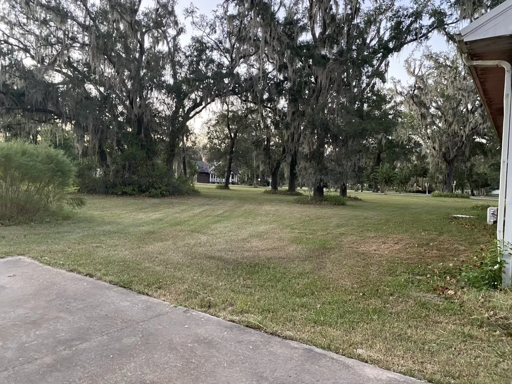 Trusted landscape design experts serving O'Brien, FL - Msk Timber