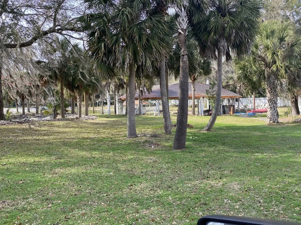 Local lawn mowing service experts serving O'Brien, FL - Msk Timber