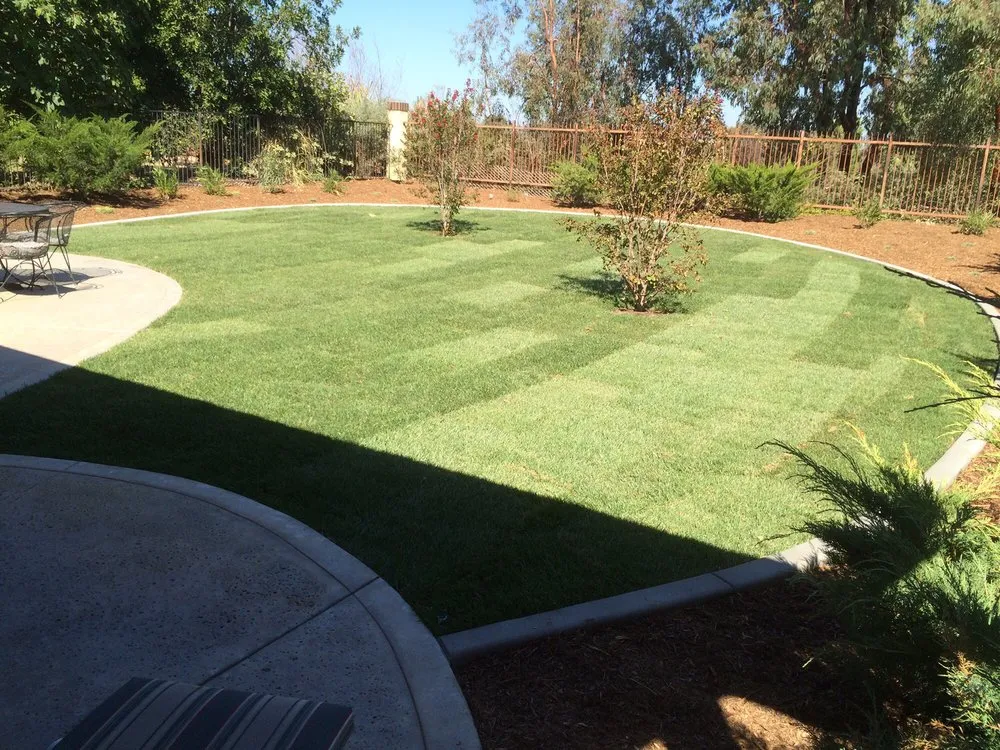 Top-rated lawn mowing service in Temecula, CA by MS+Larq Landscape Design Build