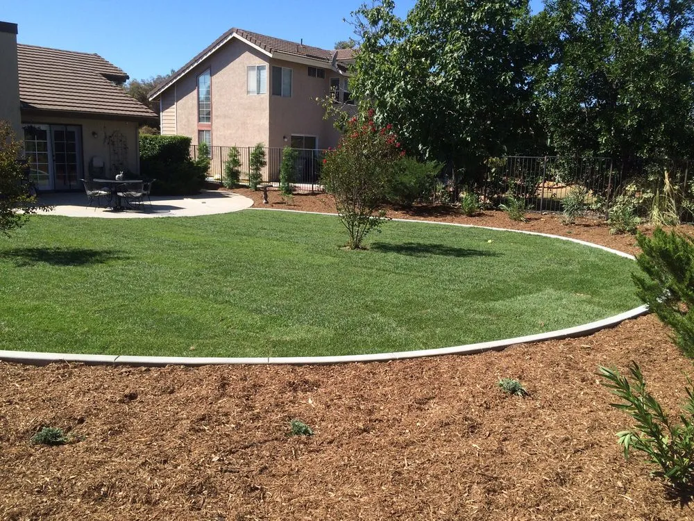 Custom yard cleanup service experts serving Temecula, CA - MS+Larq Landscape Design Build